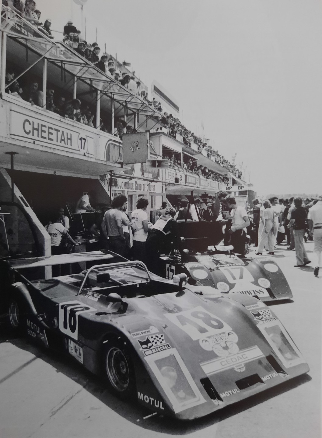Cheetah Automobiles